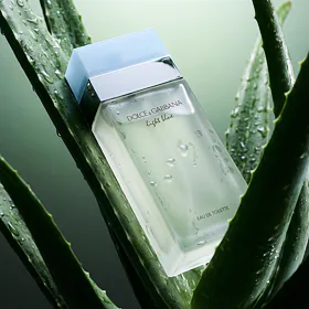 Dolce&Gabbana Light Blue Eau de Toilette donna 100 ml